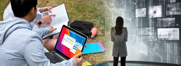 Digital Divide and Access Disparities